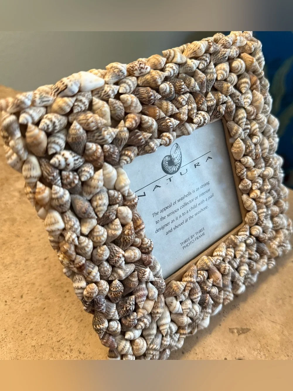 Natural Seashell Picture Frame Square Coastal Decor